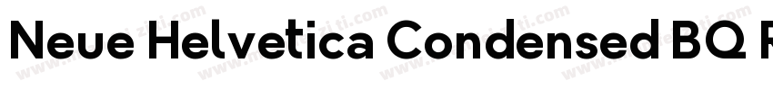 Neue Helvetica Condensed BQ Regula字体转换